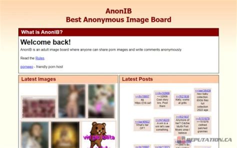 anon porn board|AnonIBX